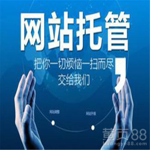 汽車清洗機網(wǎng)站建設優(yōu)化一條龍服務 技術推廣服務的全面策略