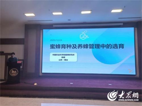 煙臺(tái)市召開(kāi)蜂業(yè)發(fā)展大會(huì) 以技術(shù)推廣服務(wù)賦能特色產(chǎn)業(yè)高質(zhì)量發(fā)展